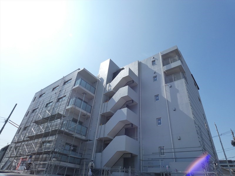 ホーリーホック その他1