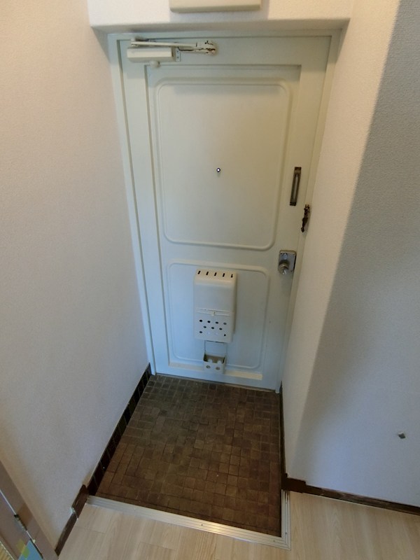 ニューシャトレーマンション 玄関