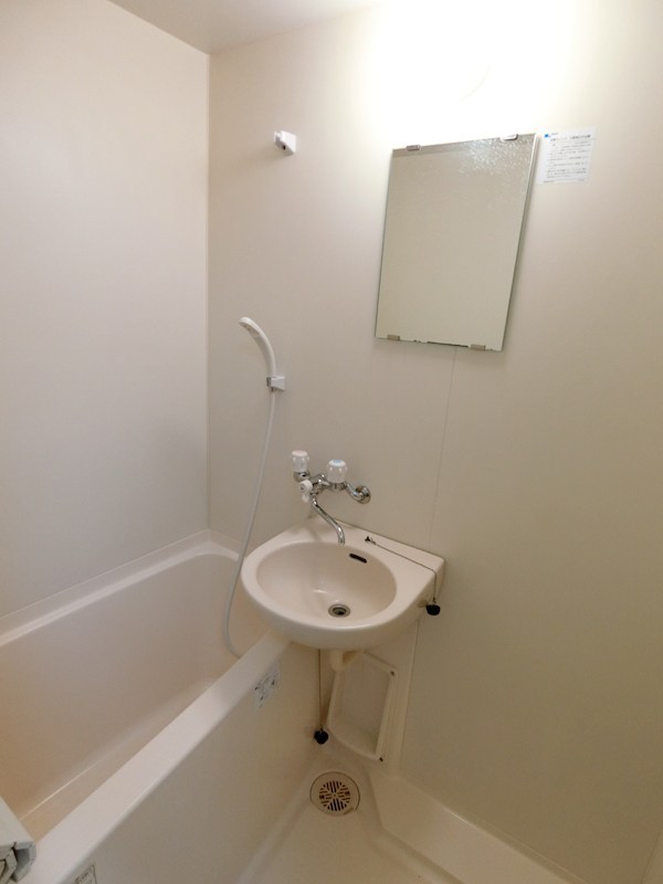 ヴィオラ その他3