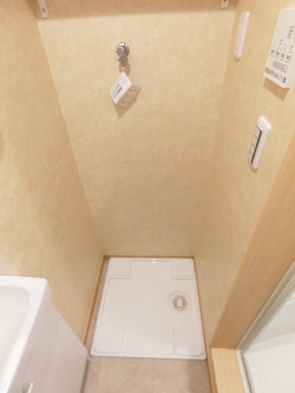 Ｐａｃｅ　Ｆｏｎｔａｎａ その他4