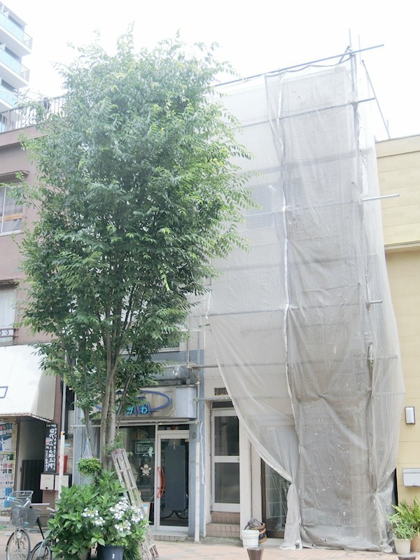 島村ビル その他6