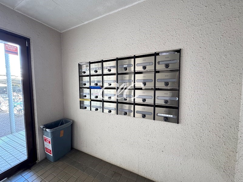 シュロス中之庭 その他9