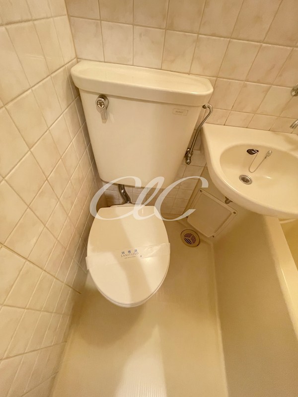 光井グランドハイツ その他4