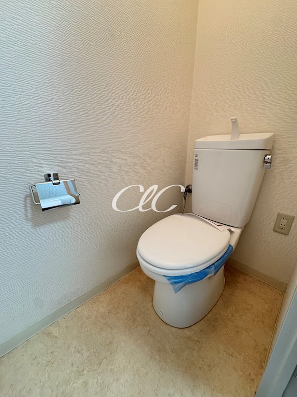 シュロス中之庭 その他2