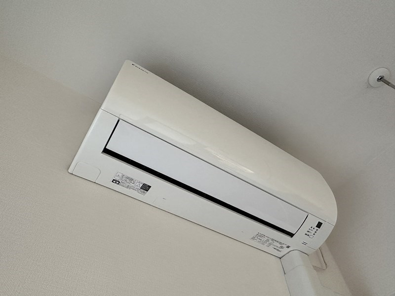 ダーシャモリ その他3