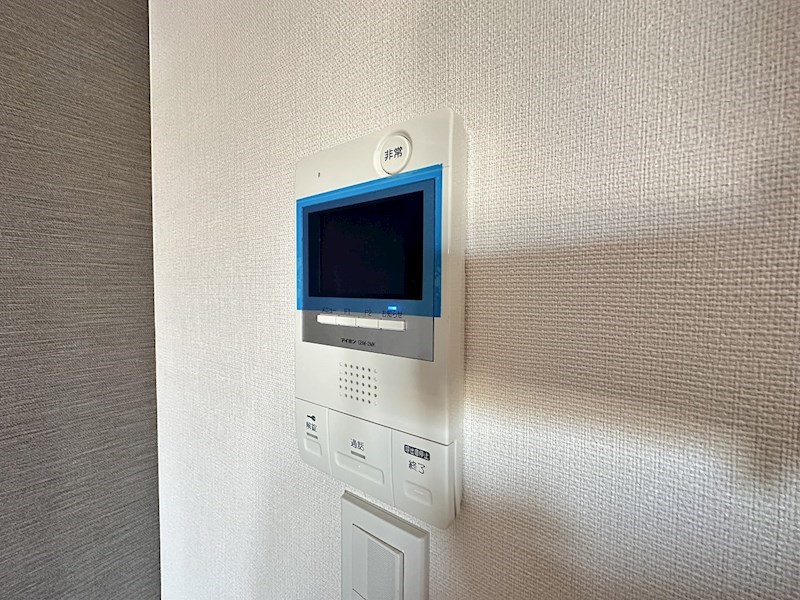 ダーシャモリ その他4