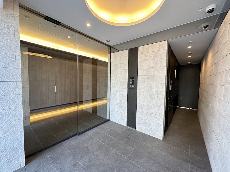 ダーシャモリ その他1