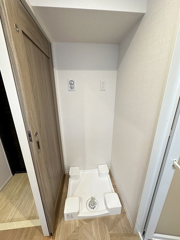 ダーシャモリ その他6