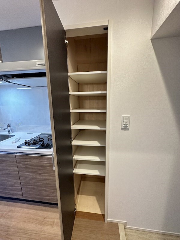 ダーシャモリ その他8