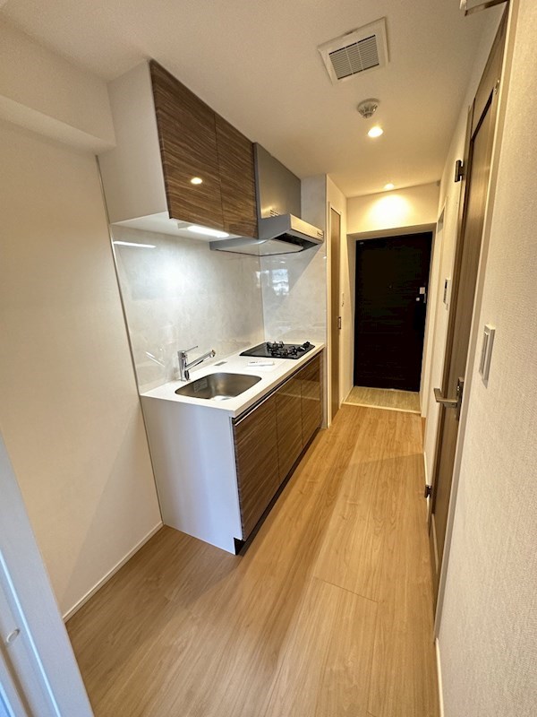 ダーシャモリ その他11