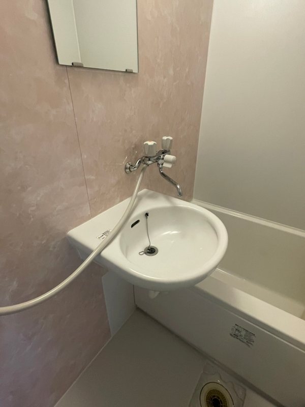 ニューブリード その他2