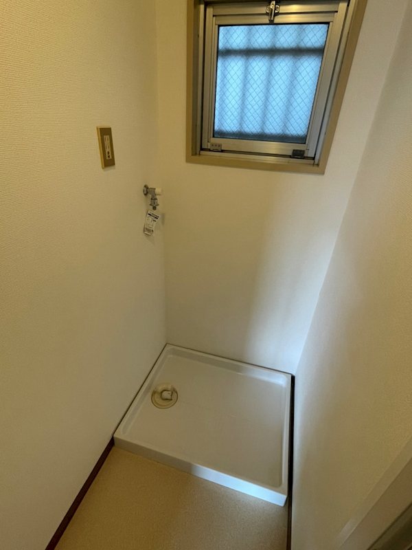 ニューブリード その他3