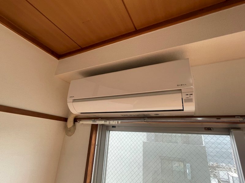 ニューブリード その他7