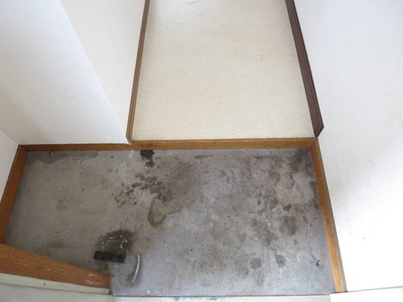 コーポ竹島 玄関