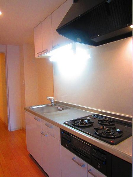 ウィステリアート キッチン