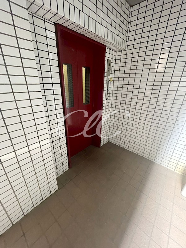 光井グランドハイツ その他3