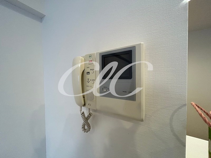 ルックハイツ金町 その他1