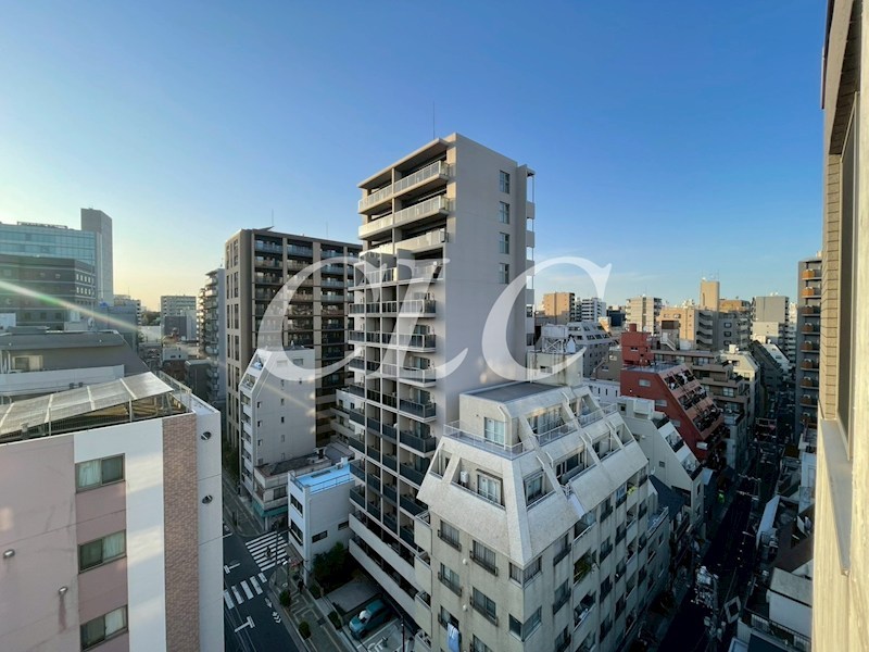 ハイリーフ上野  その他2