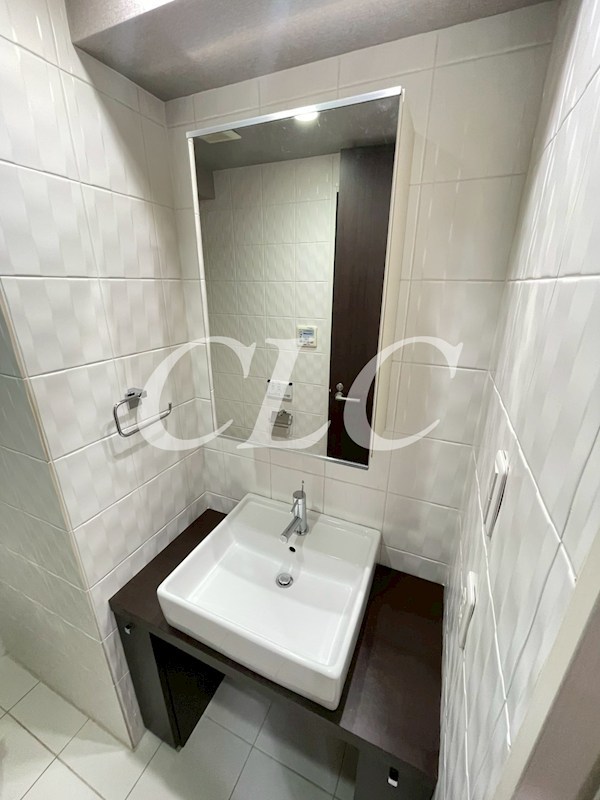 ハイリーフ上野  その他3