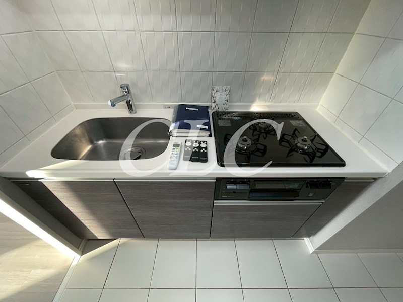 ハイリーフ上野  その他10