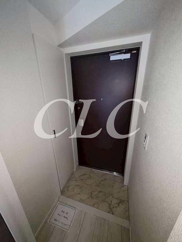 Totsu Residence Kaminarimon(ﾄｳﾂｳ　ﾚｼﾞﾃﾞﾝｽ　ｶﾐﾅﾘﾓﾝ) 玄関