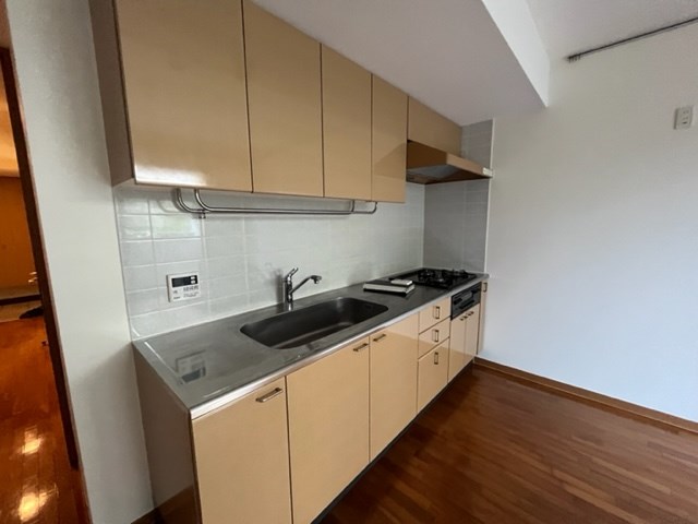 新小岩親水公園パークホームズ キッチン