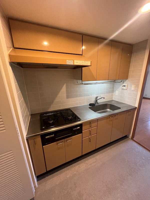 新小岩親水公園パークホームズ キッチン