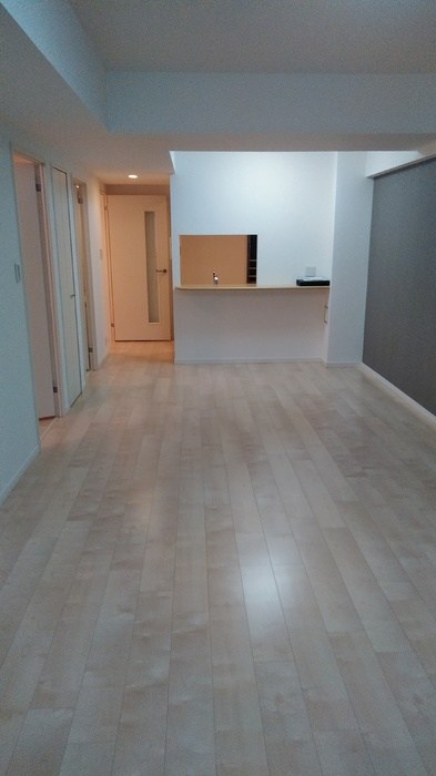 カスタリア茅場町  リビング