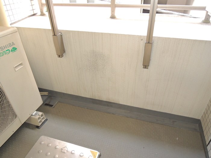 カスタリア茅場町  ベランダ