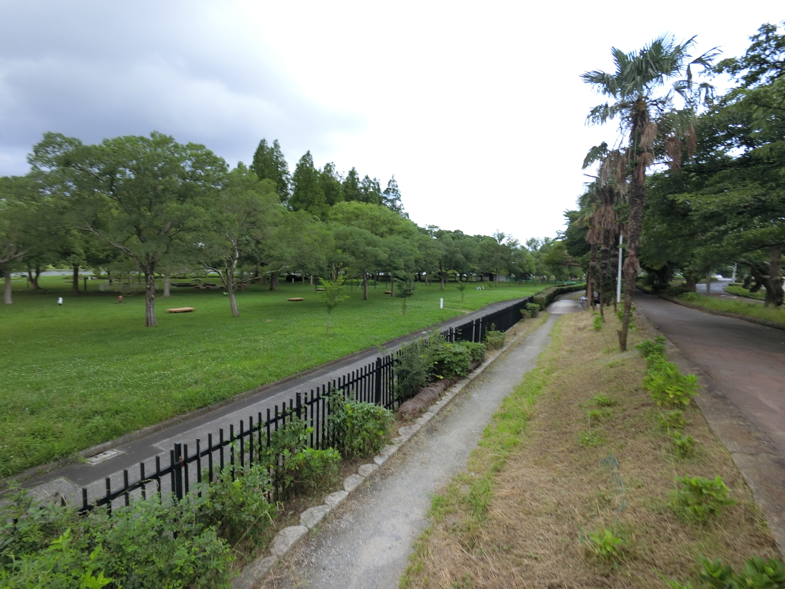 リブリ・アイリス・エンサータ 周辺画像10