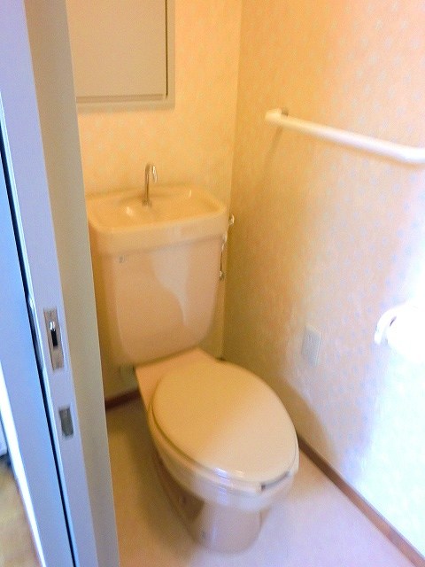 シルバースティック その他1