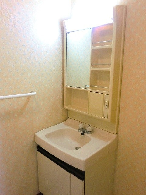 シルバースティック その他4