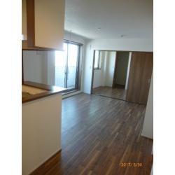 ニューサンハイム その他3