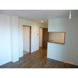 ニューサンハイム リビング