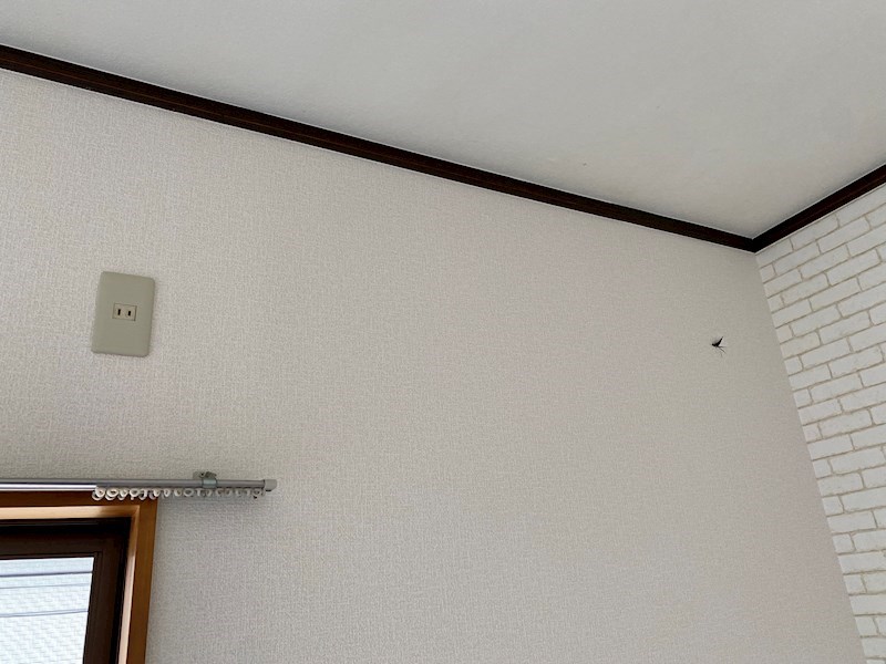 宮崎ハイツ その他5