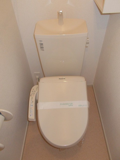 ステラ　ルーチェ   その他4