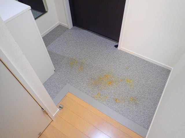 シルフィード 玄関