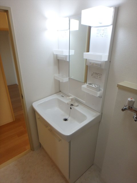 ネオ・プロミネンス その他2