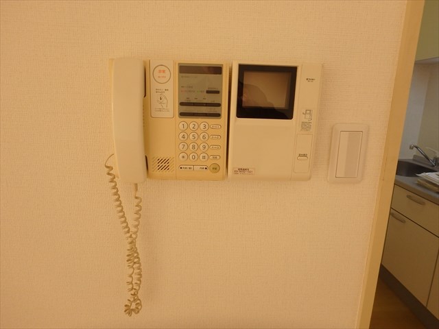 ネオ・プロミネンス その他6