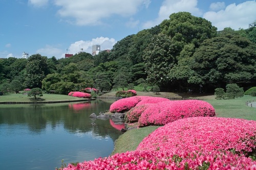 マハール駒込 周辺画像3