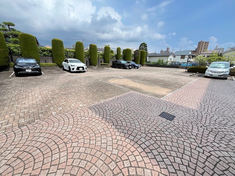 アムカス その他10