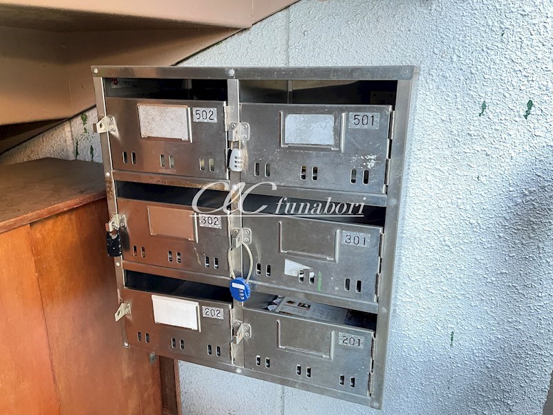 スターライトハーモニー その他4