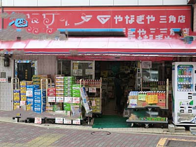 ニューパレス中葛西 周辺画像7