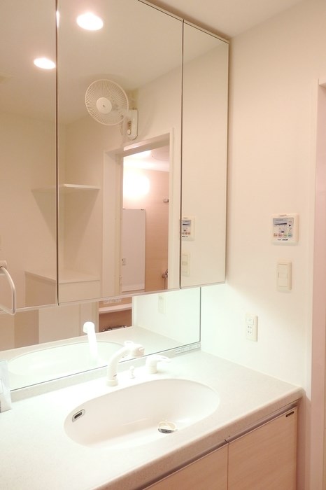 ロイヤルパークスシーサー その他3