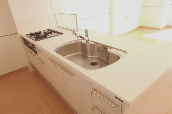 ロイヤルパークスシーサー その他15