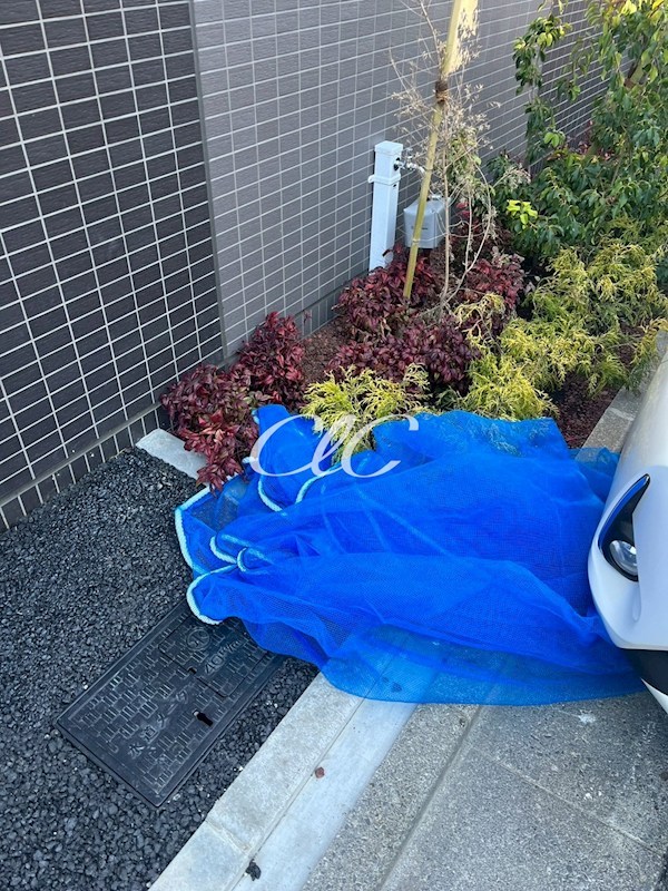 エスペランサ７ その他12