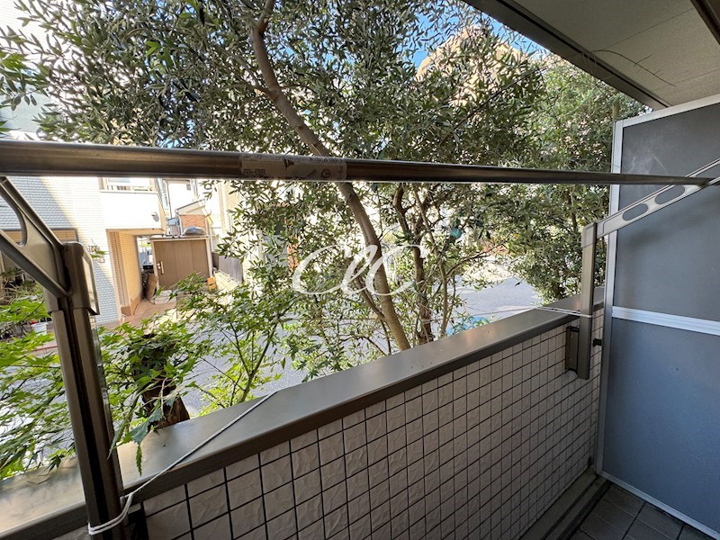 シルフィード その他7