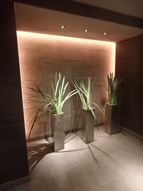 プラティーク清澄白河 その他1