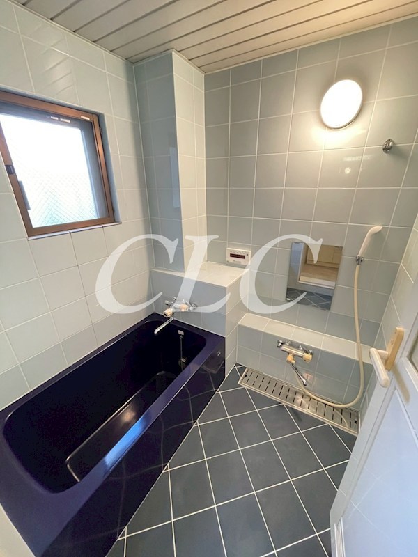 サンテラス花川戸 風呂画像