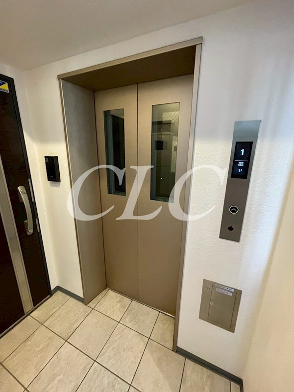 ＲＥＳＰＥＣＴ　ＯＮＥ  その他12